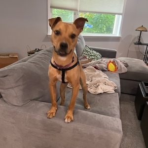 Fundraising Page: Cary Harper